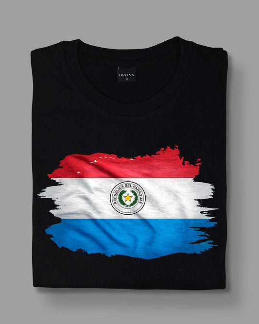 Bandera Paraguay